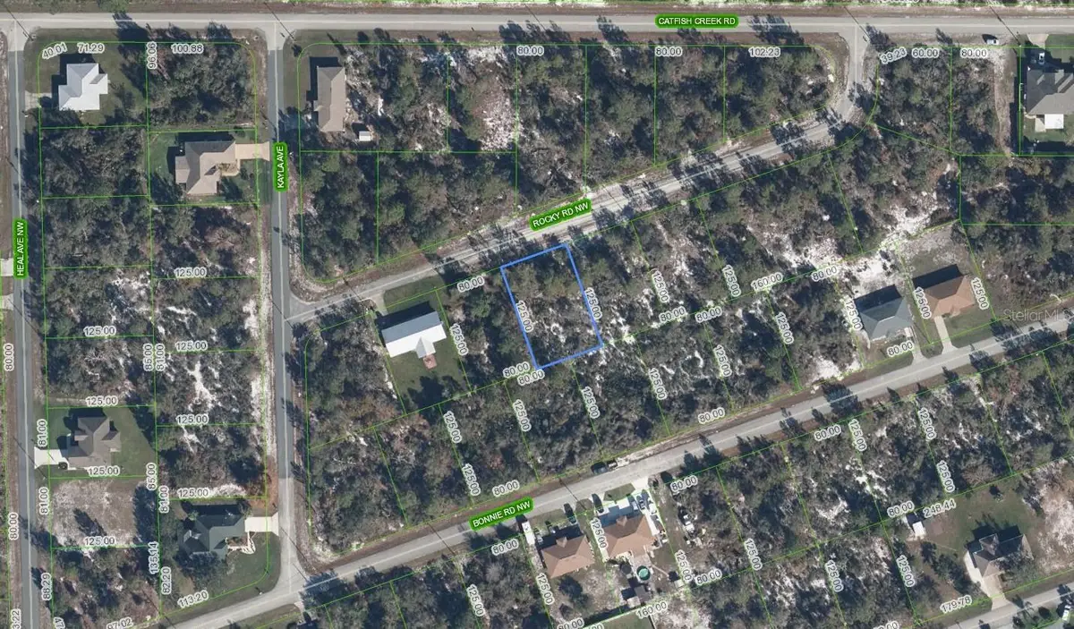 112 Rocky Road Nw, Lake Placid, FL 33852 - Image #1