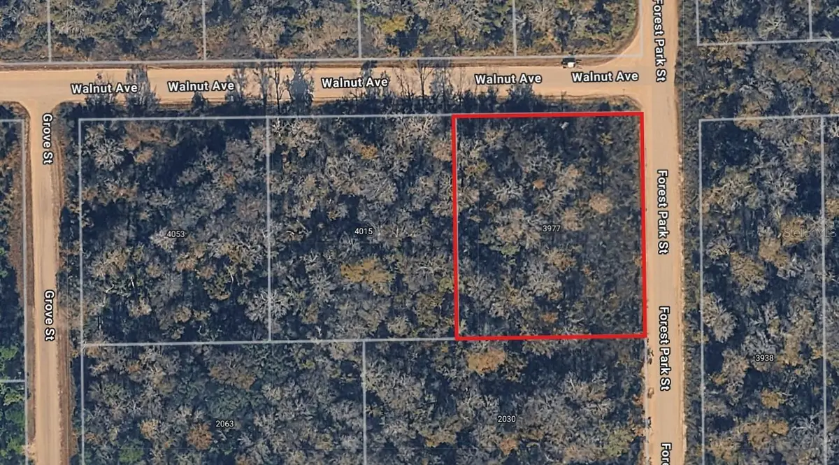 3977 Walnut Avenue, Bunnell, FL 32110 - Image #1