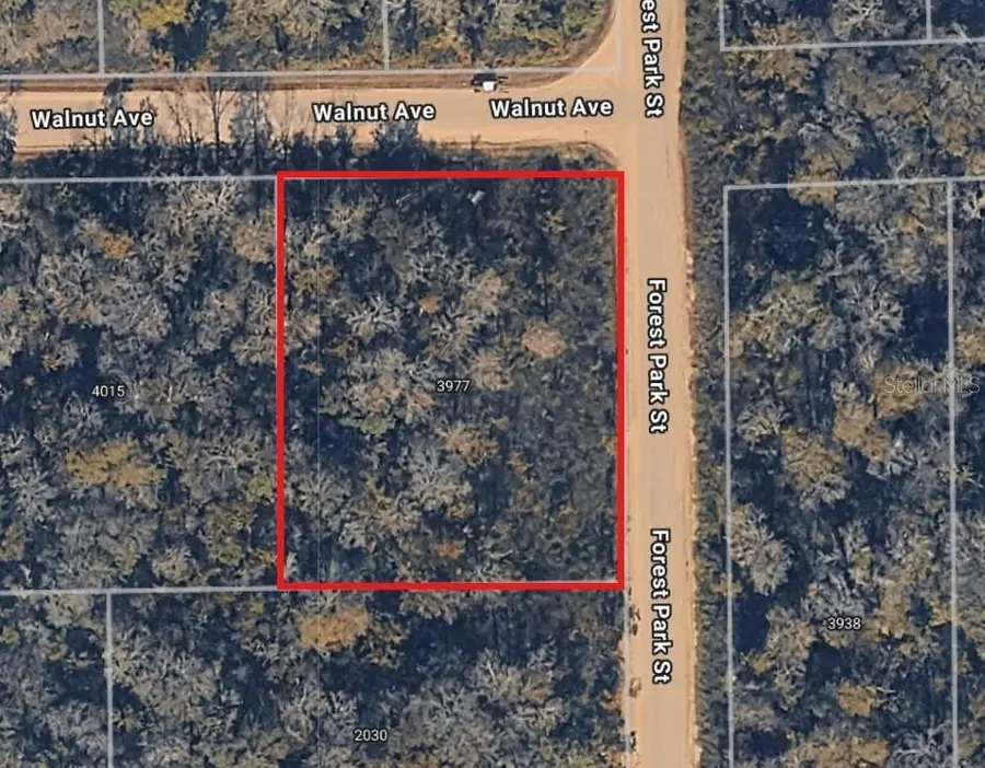 3977 Walnut Avenue, Bunnell, FL 32110 - Image #2