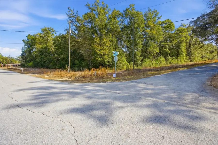 Lot 163 SW Shorewood Drive, Dunnellon, FL 34431 - #3