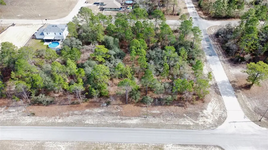 8951 N Citrus Springs Boulevard, Citrus Springs, FL 34433 - #2