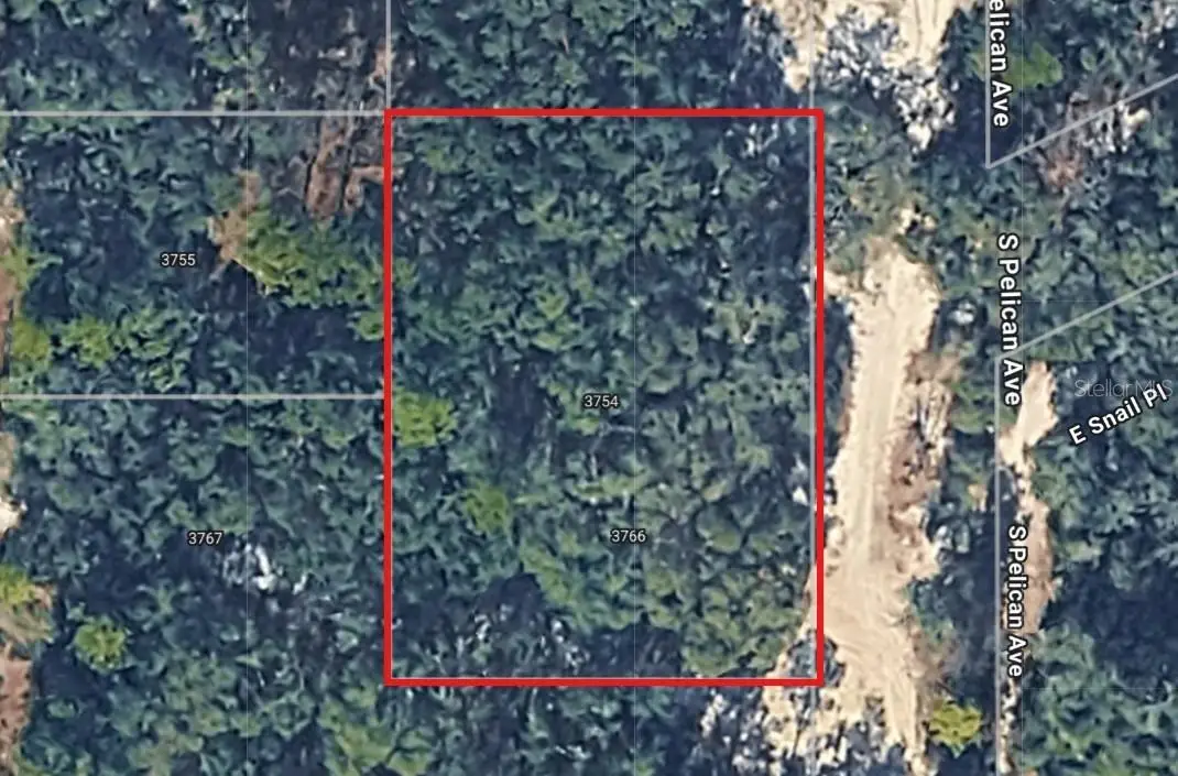 3754 S Pelican Avenue, Inverness, FL 34450 - Image #1