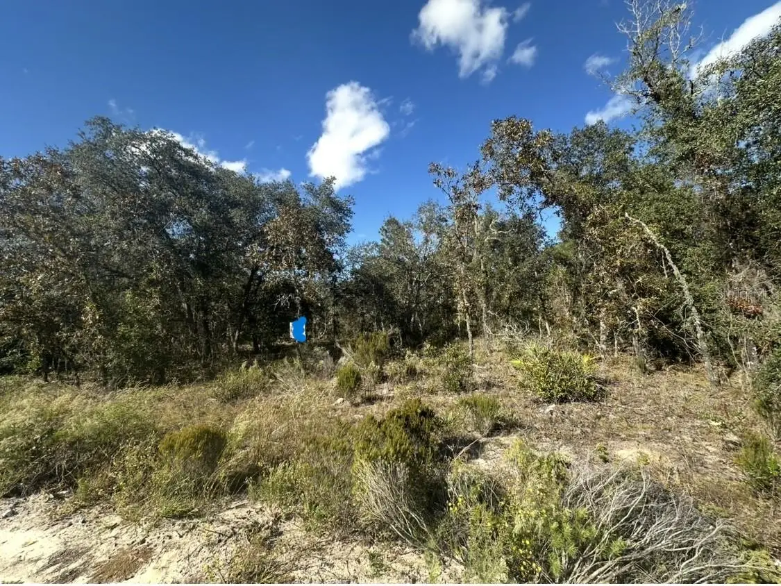 Ne 66th Street, Bronson, FL 32621 - Image #1