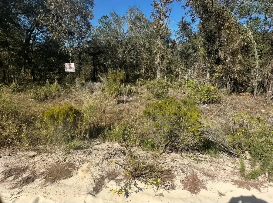 Ne 66th Street, Bronson, FL 32621 - Image #2