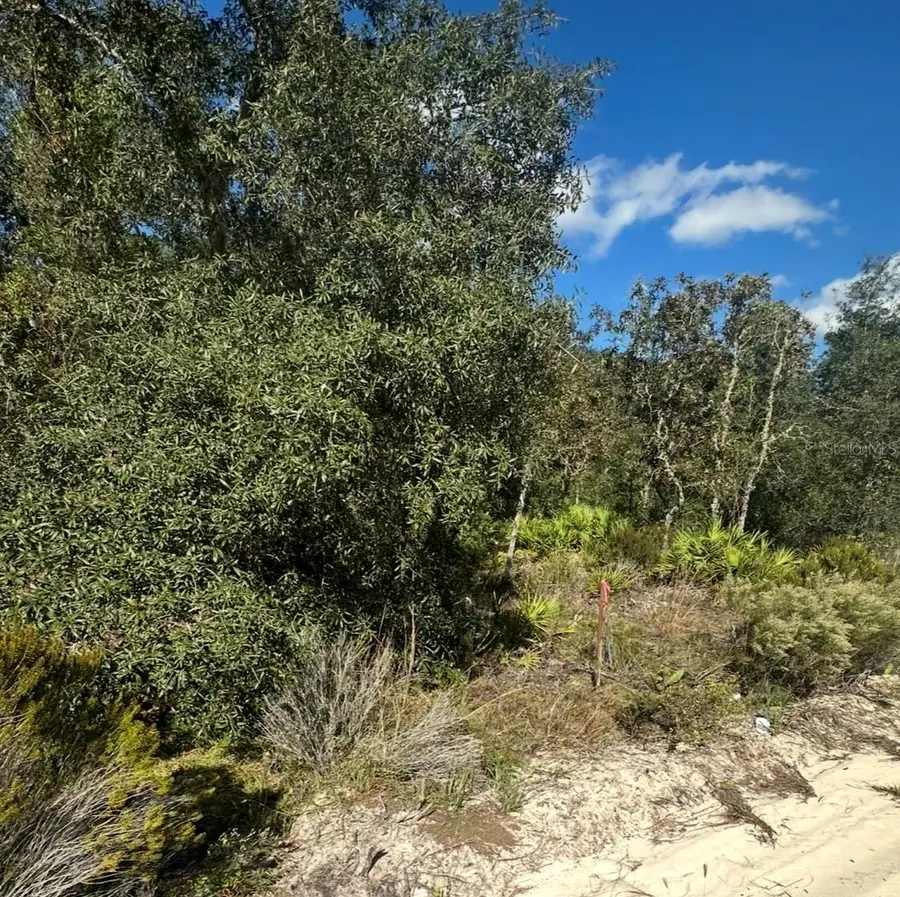 Ne 66th Street, Bronson, FL 32621 - Image #3