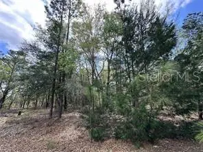 TBD NE 12th Lane, WILLISTON, FL 32696