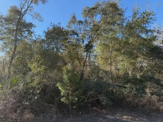 TBD SW 158th Street Road, Ocala, FL 34473 - Image #2