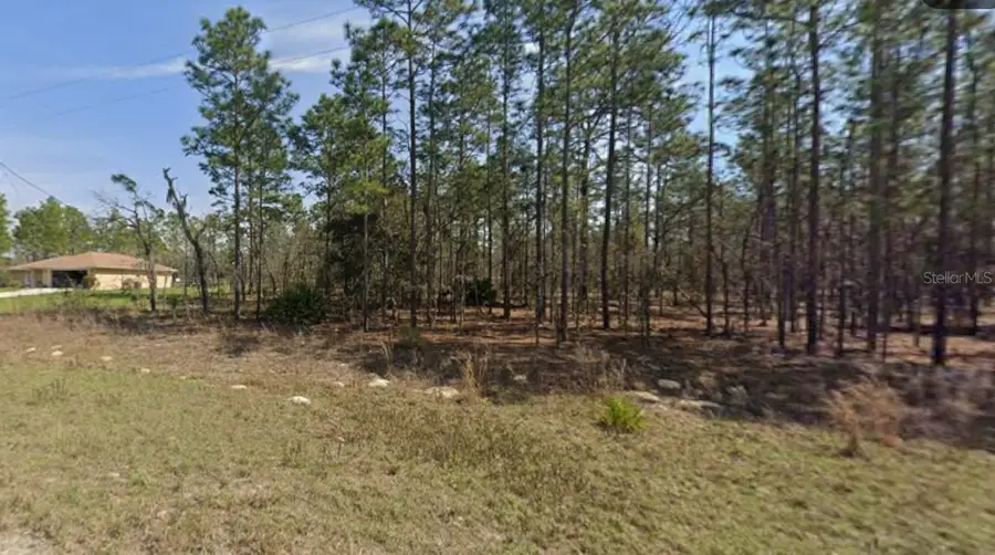 0 Sw 125th Court Rd, Ocala, FL 34481 - Image #2