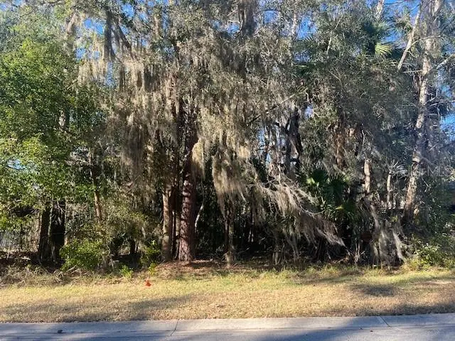 1809 SW 29th Street, Ocala, FL 34471 - #1