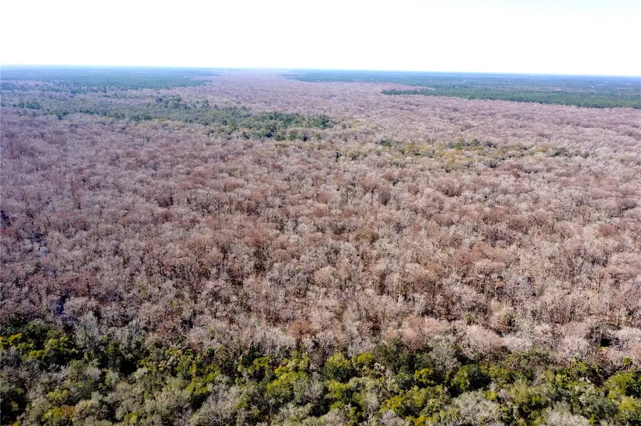 TBD NE 170th Avenue Road, Fort McCoy, FL 32134 - #2