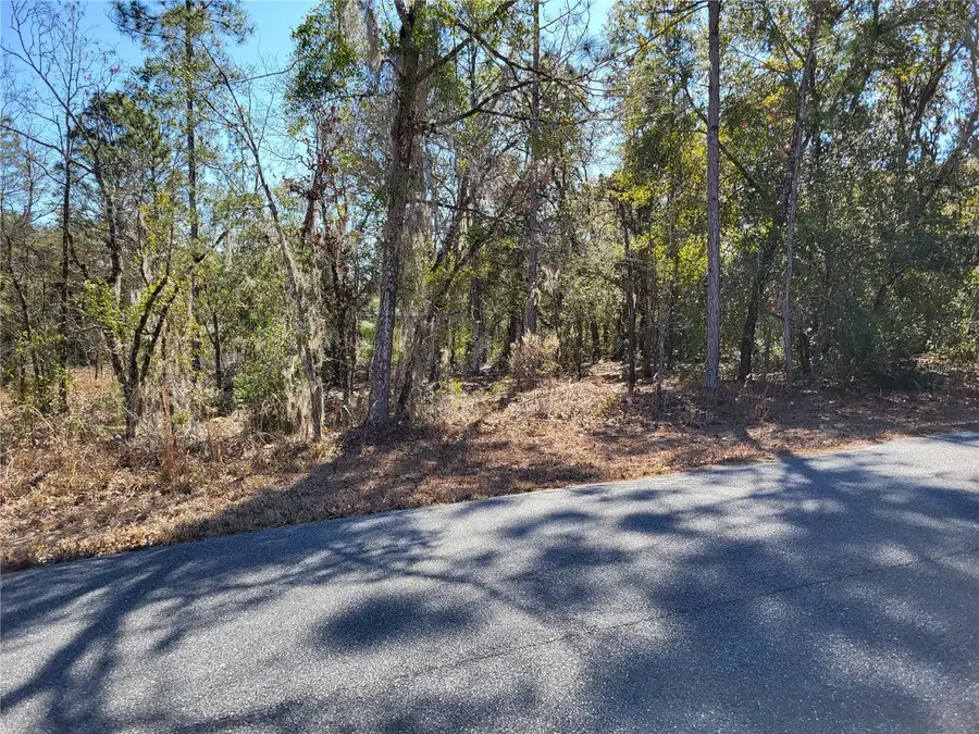 000 SE Locust Loop Place, Ocala, FL 34472 - Image #3