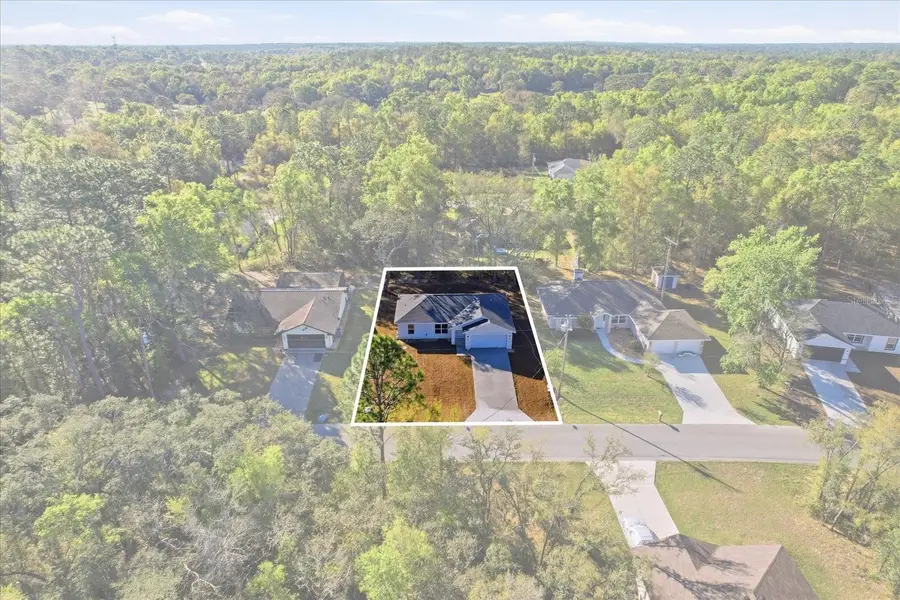 2980 W Camilo Drive, Citrus Springs, FL 34434 - #2