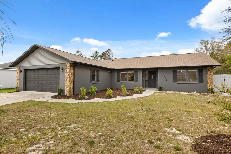 15690 SW 46th Circle, Ocala, FL 34473 - Image #3