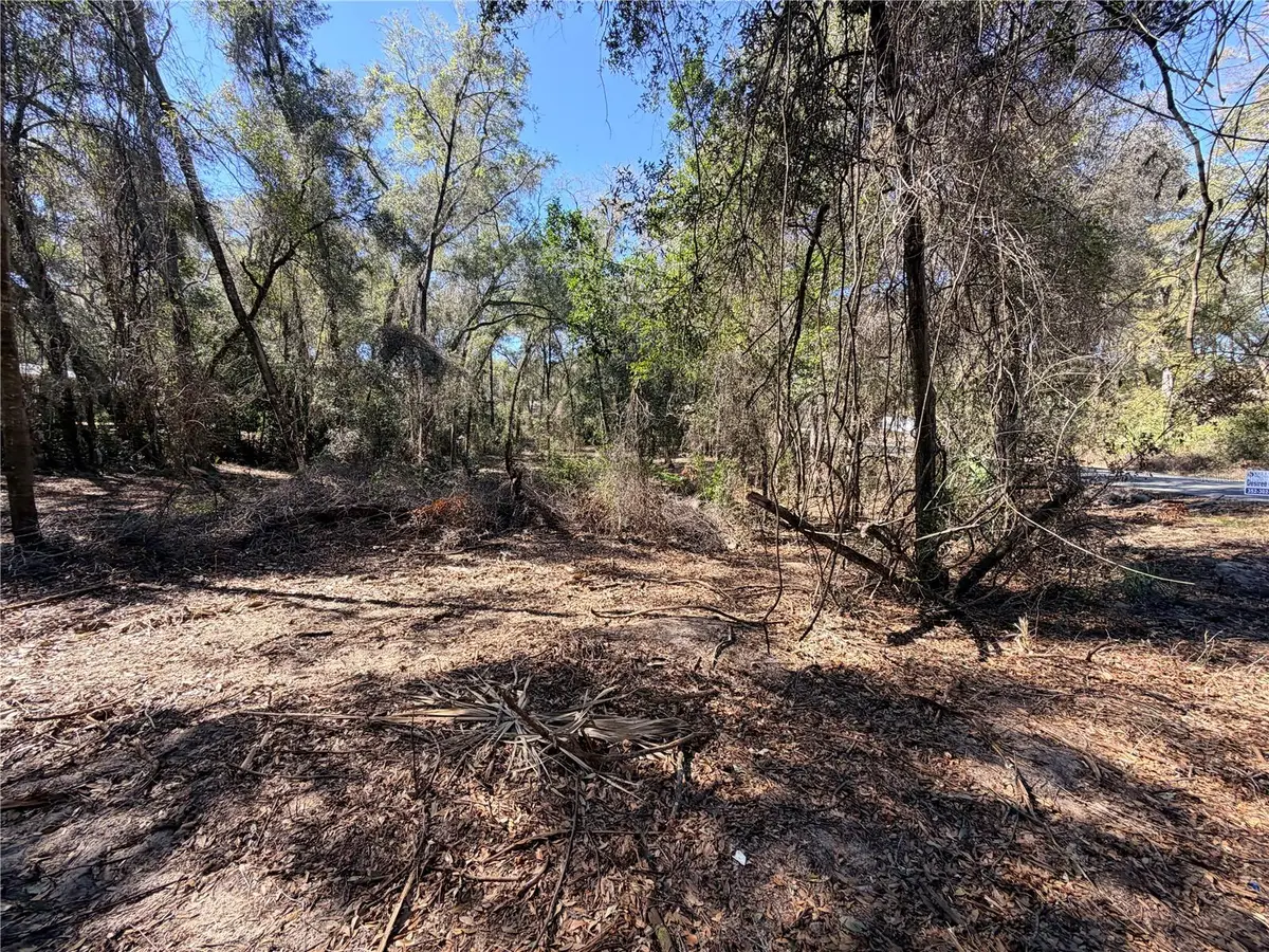 3910 E Scotty Street, Inverness, FL 34453 - #1