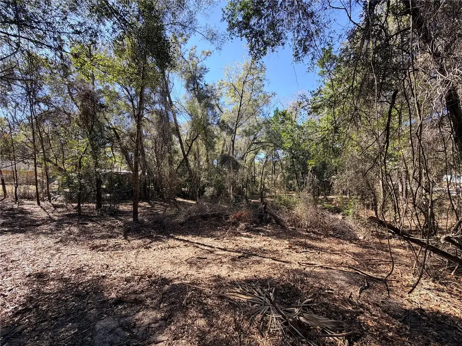 3910 E Scotty Street, Inverness, FL 34453 - #3