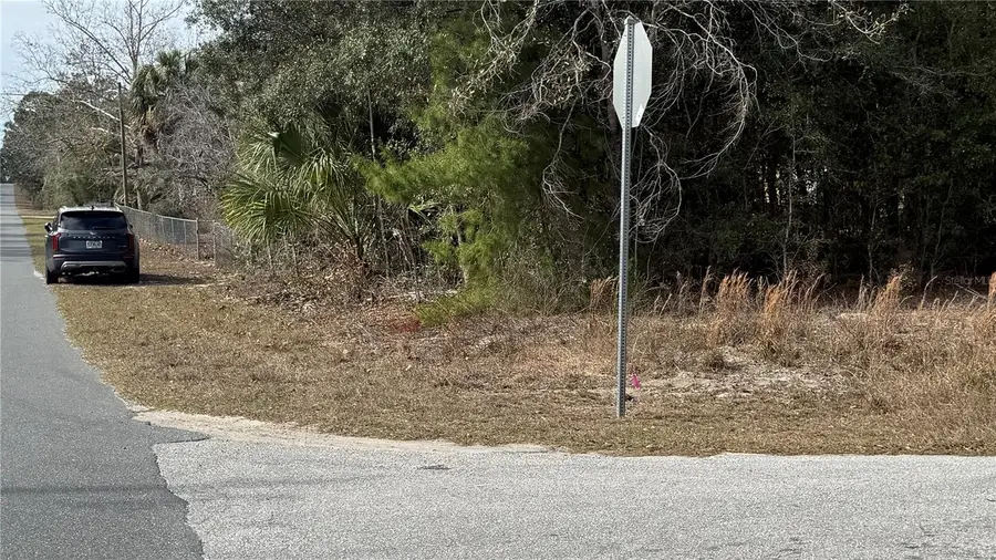 Sw Beach Blvd & Sw Portulaca Ct, Dunnellon, FL 34431 - #3