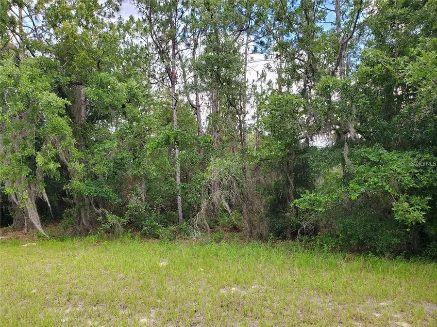 8650 SW 138 Lane, Ocala, FL 34473 - Image #3