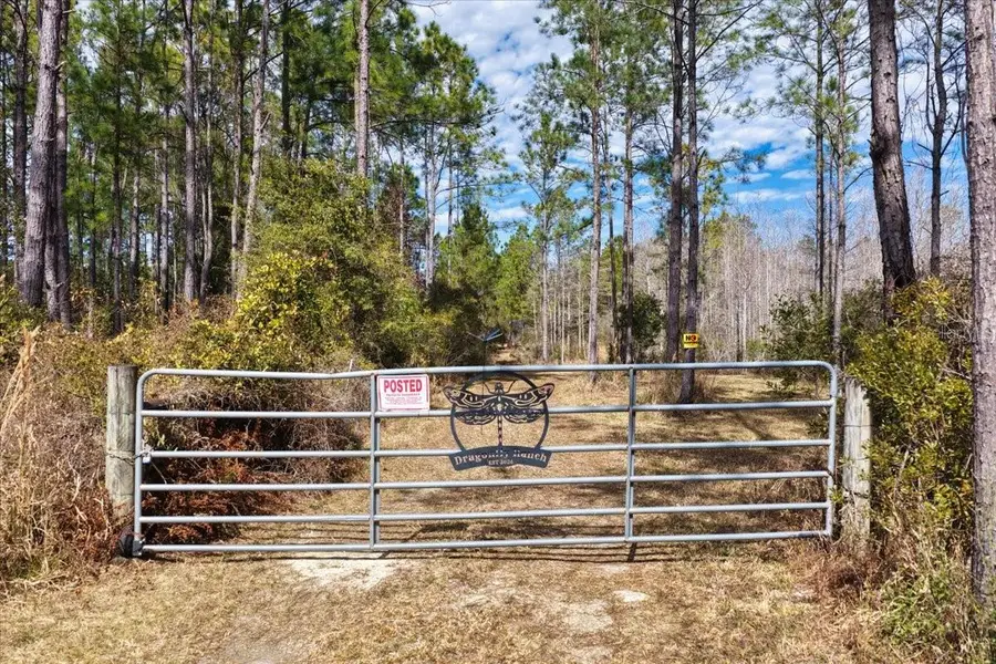 60 Acres NW Clyatt Road, Chiefland, FL 32626 - #2