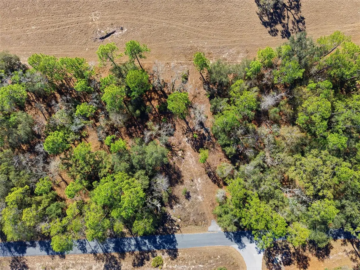 24456 SW Tiger Lake Boulevard W, Dunnellon, FL 34431 - #1