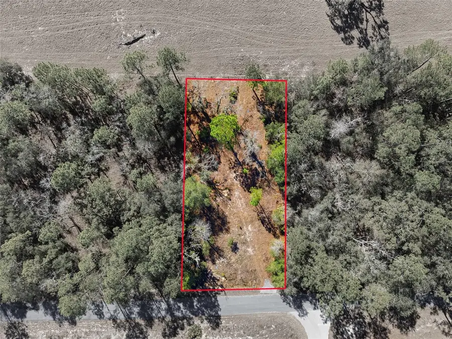 24456 SW Tiger Lake Boulevard W, Dunnellon, FL 34431 - #2