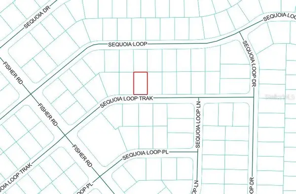 Sequoia Loop Track, OCKLAWAHA, FL 32179