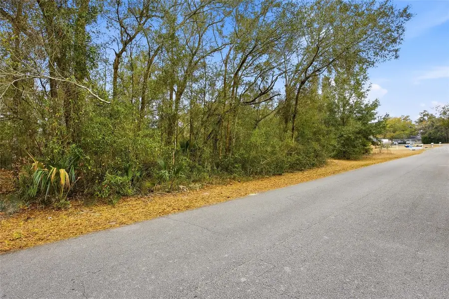 Lot 4 SW 95th Place, Ocala, FL 34476 - #2