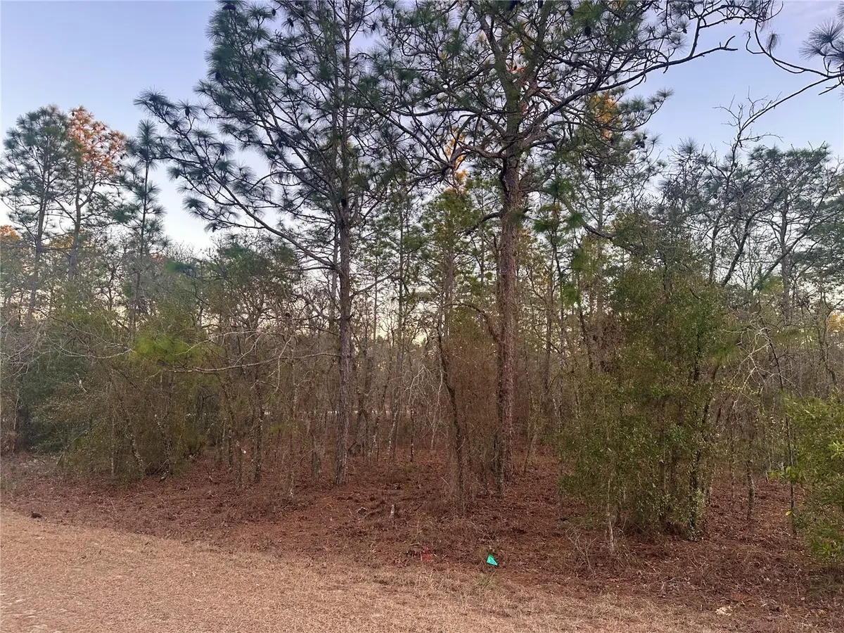 0000 SW 130th Terrace, Dunnellon, FL 34434 - #1