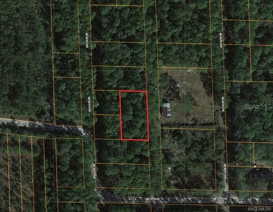 0000 NE 65th Court, Citra, FL 32113 - #1