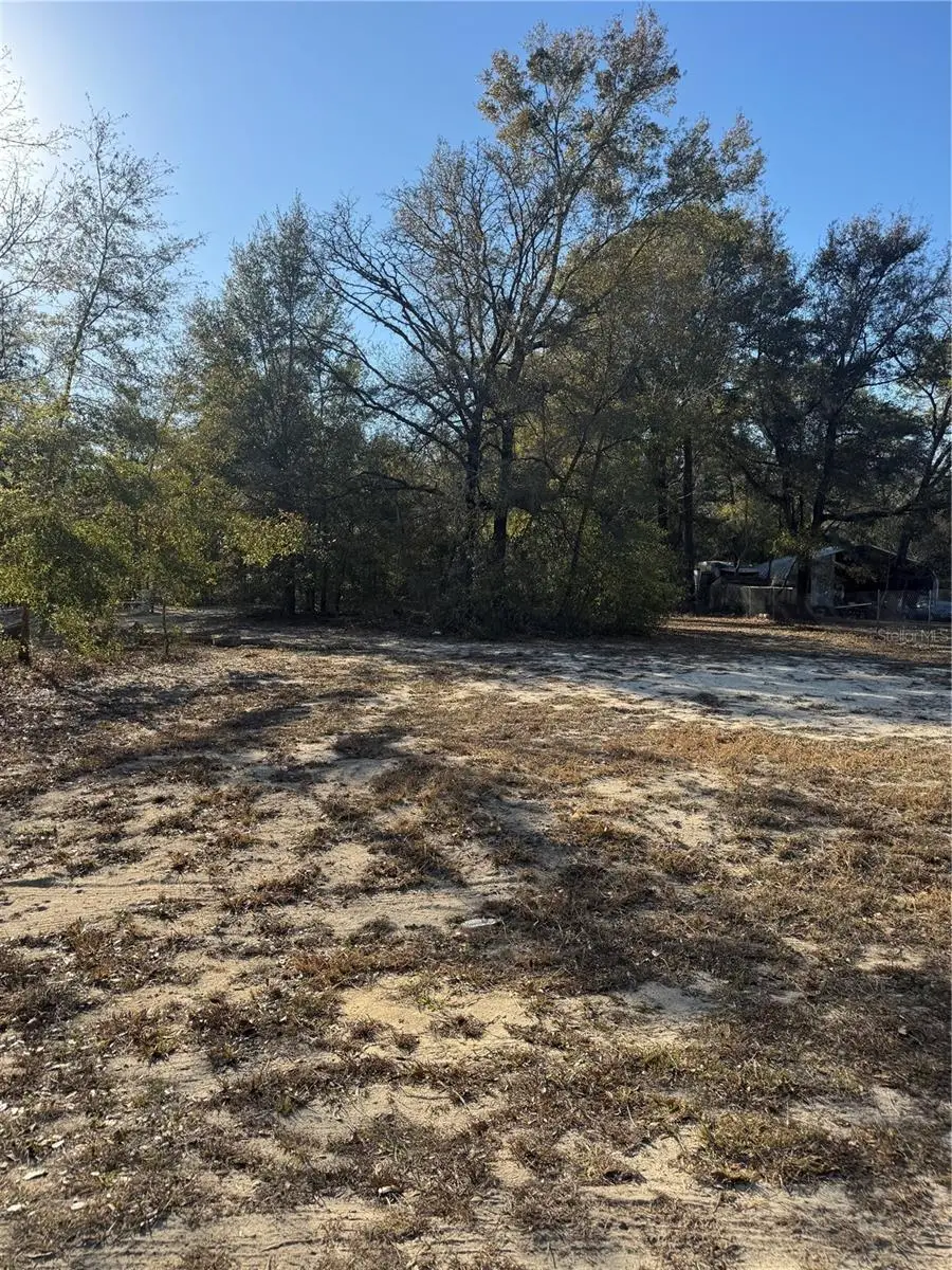 SW 151st Avenue, Ocala, FL 34481 - #3