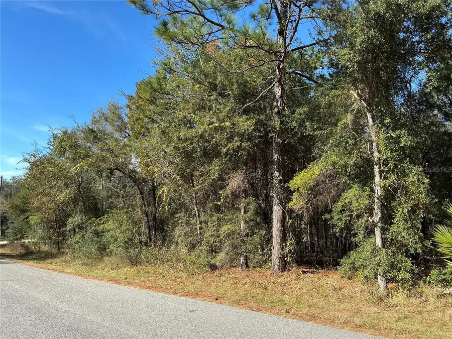 2039 E Newhaven Street, Inverness, FL 34453 - #2