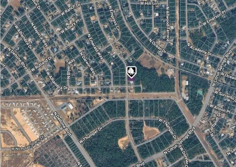 10049 N Biscayne Drive, Citrus Springs, FL 34434 - #3