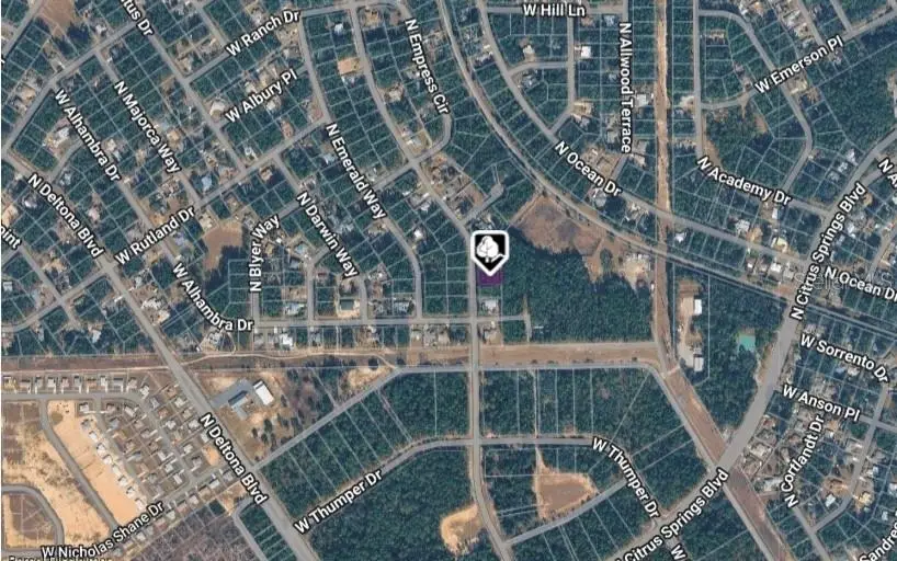 10061 N Biscayne Drive, Citrus Springs, FL 34434 - #3