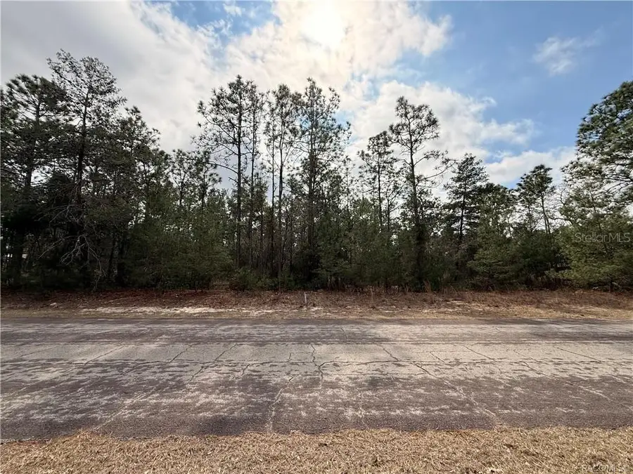 5872 N Rosewood Drive, Beverly Hills, FL 34465 - #2