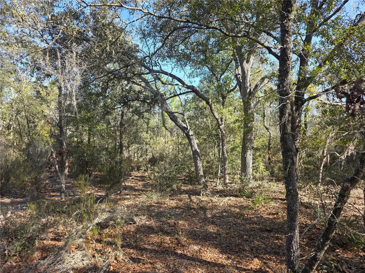 TBD NE 87th Place, Bronson, FL 32621 - #1