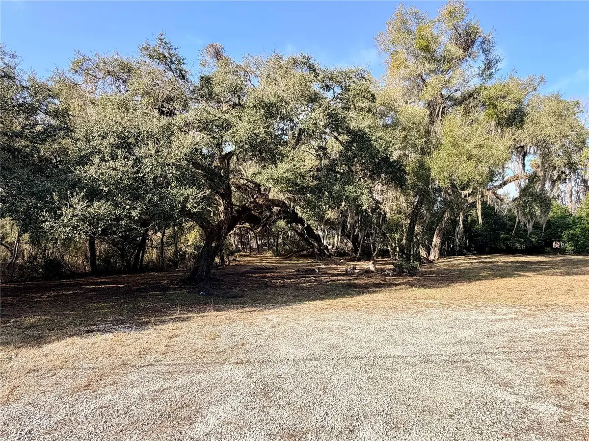 5666 S Florida Avenue, Floral City, FL 34436 - #1