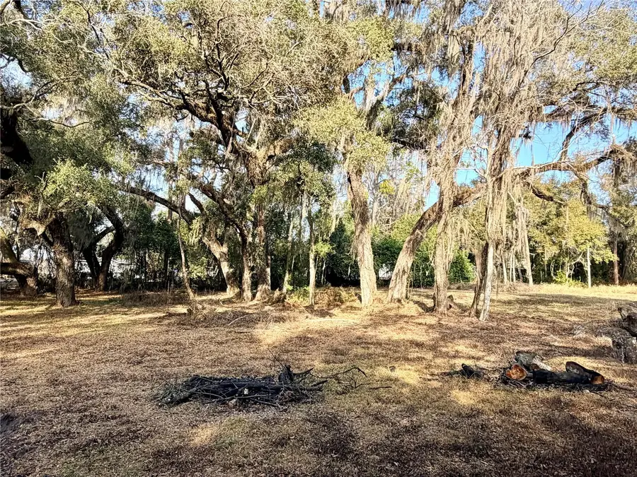 5666 S Florida Avenue, Floral City, FL 34436 - #3