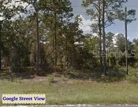 Se State Road 121 Lot 4, Morriston, FL 32668 - #2