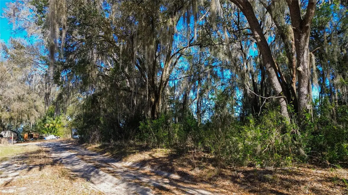 39725 Clay Avenue N, Lady Lake, FL 32159 - #1