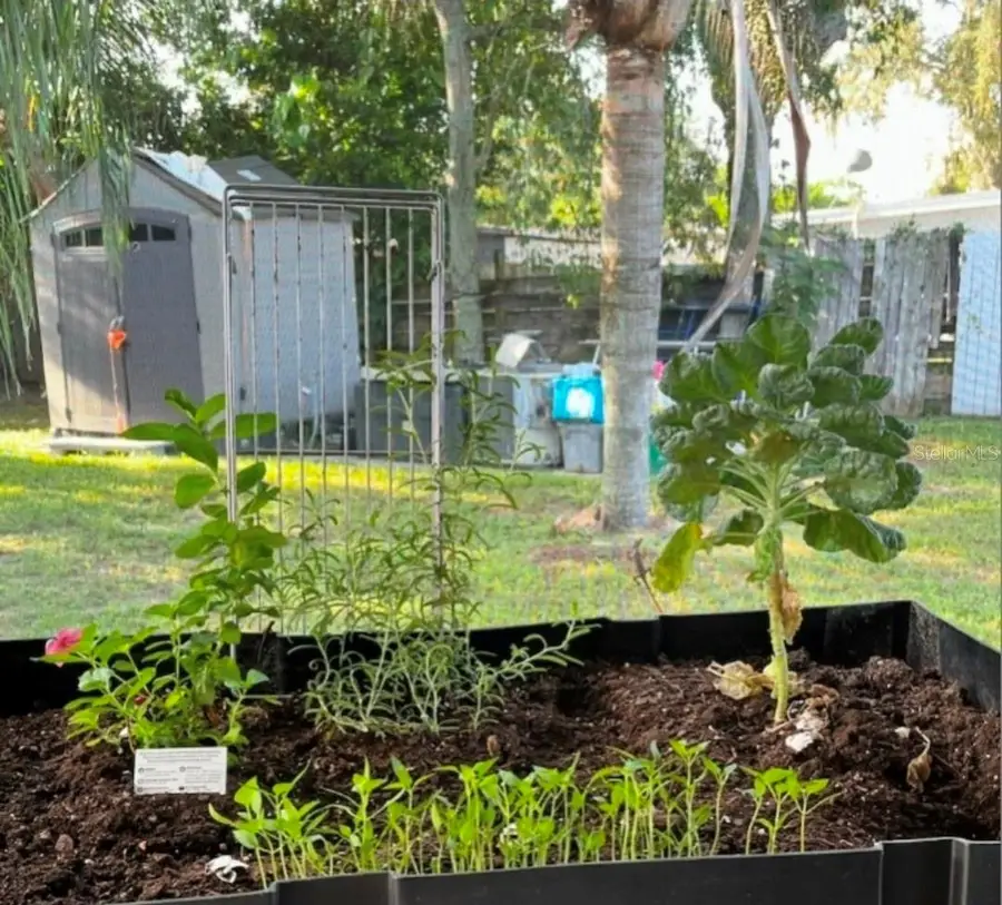 1405 Jackson, Daytona Beach, FL 32117 - #2