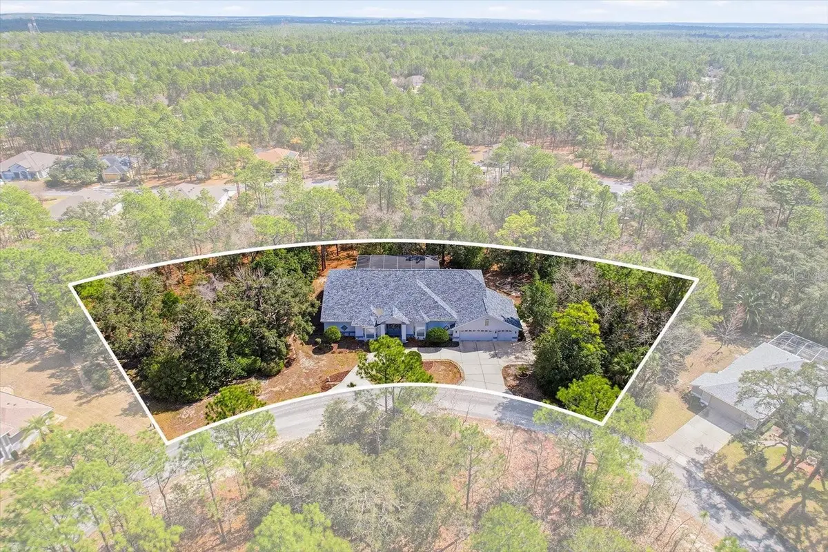 16 Drypetes Court E, Homosassa, FL 34446 - #1