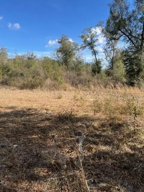 NW 7th Street, Ocala, FL 34482 - #3