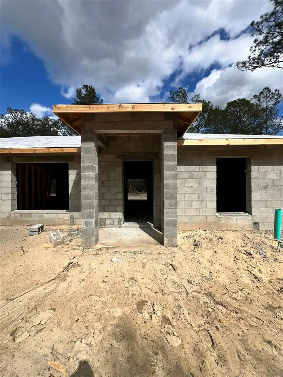 3 Guava Pass Run, Ocklawaha, FL 32179 - #2