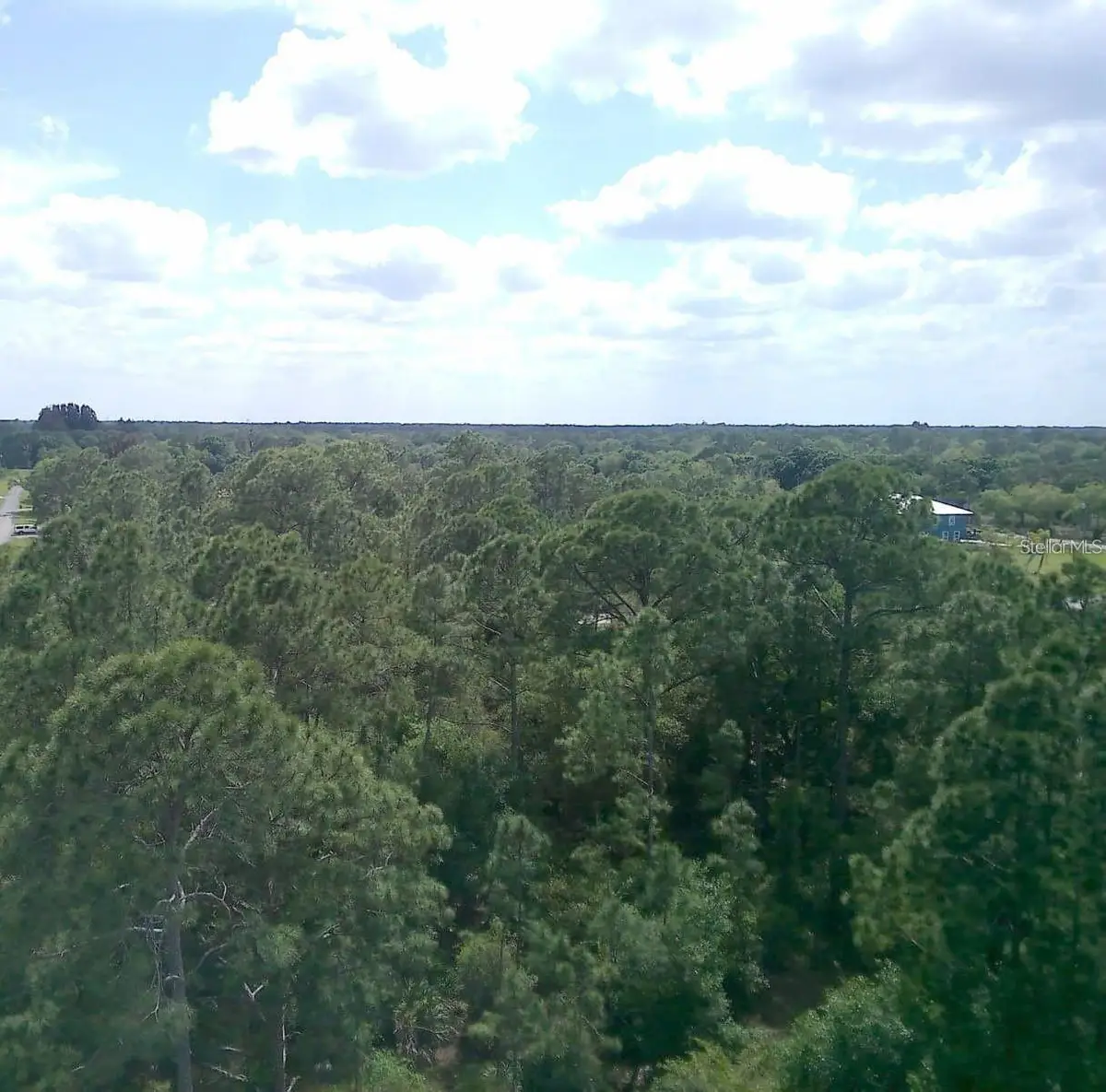 000 NE 189th Lane #Lot 19, Citra, FL 32113 - #1