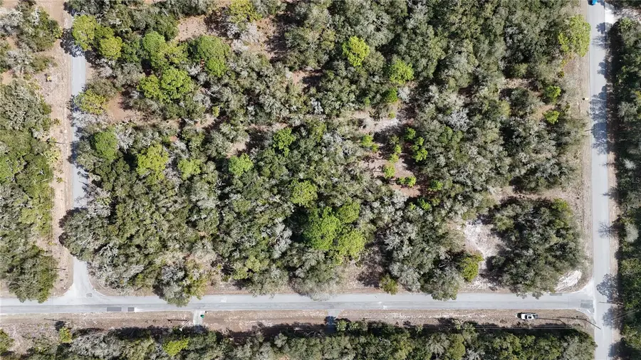 12786 W Cornflower Drive, Crystal River, FL 34428 - #2