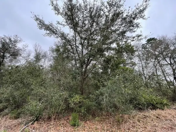 0 NE 128 Avenue, WILLISTON, FL 32696