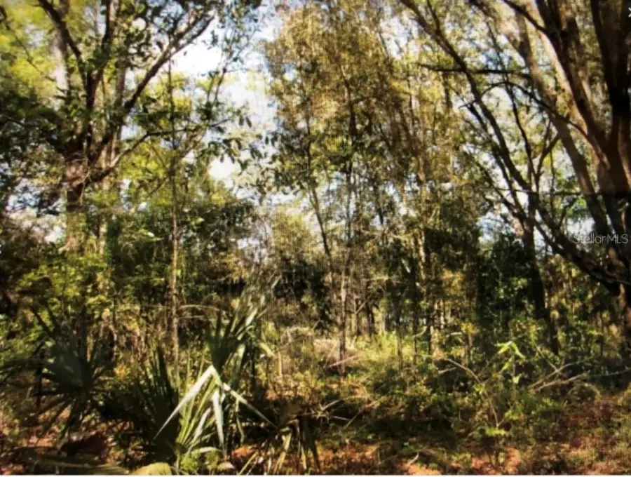 0 NE 128th Avenue, Williston, FL 32696 - #3