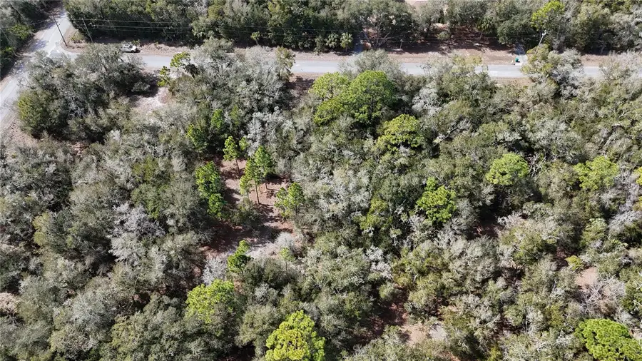 12784 W Cypress Vine Lane, Crystal River, FL 34428 - #2