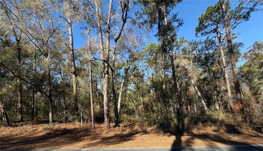 5230 S Robert Blake Avenue, Inverness, FL 34452 - #2