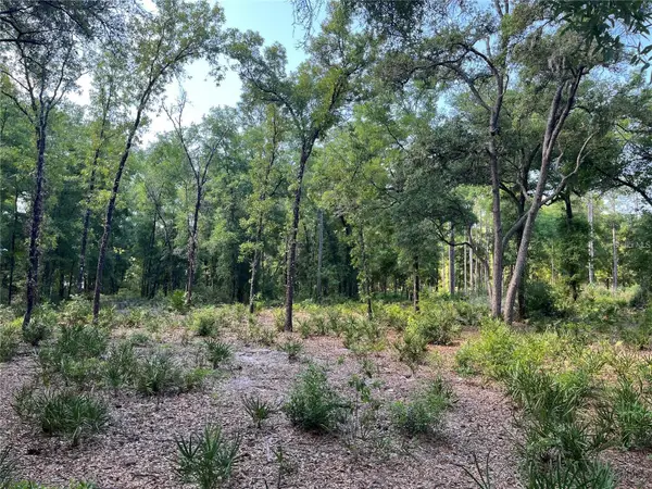 SW 151st Place, DUNNELLON, FL 34432