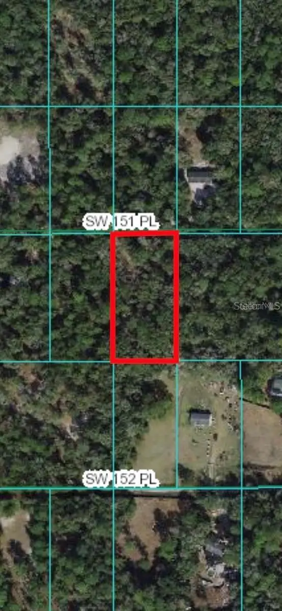 SW 151st Place, Dunnellon, FL 34432 - #2